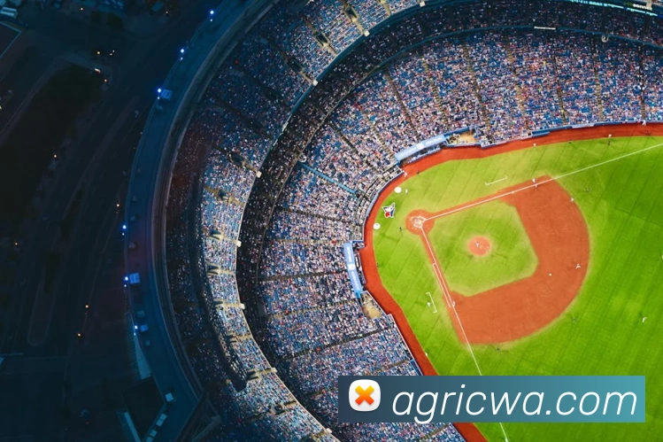 ag百家乐平台生态图