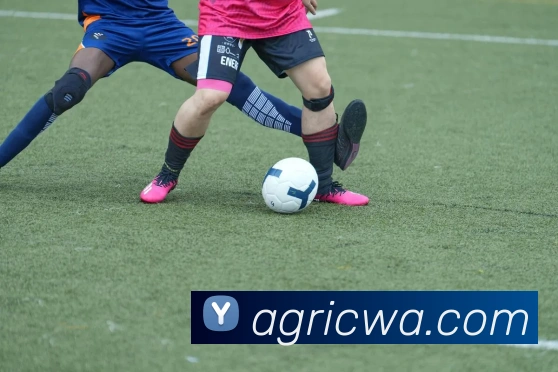 辅助工具 辅助工具